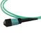12 тип b гибкого провода LSZH 1M оптического волокна MTP кабеля хобота волокна OM3 MPO